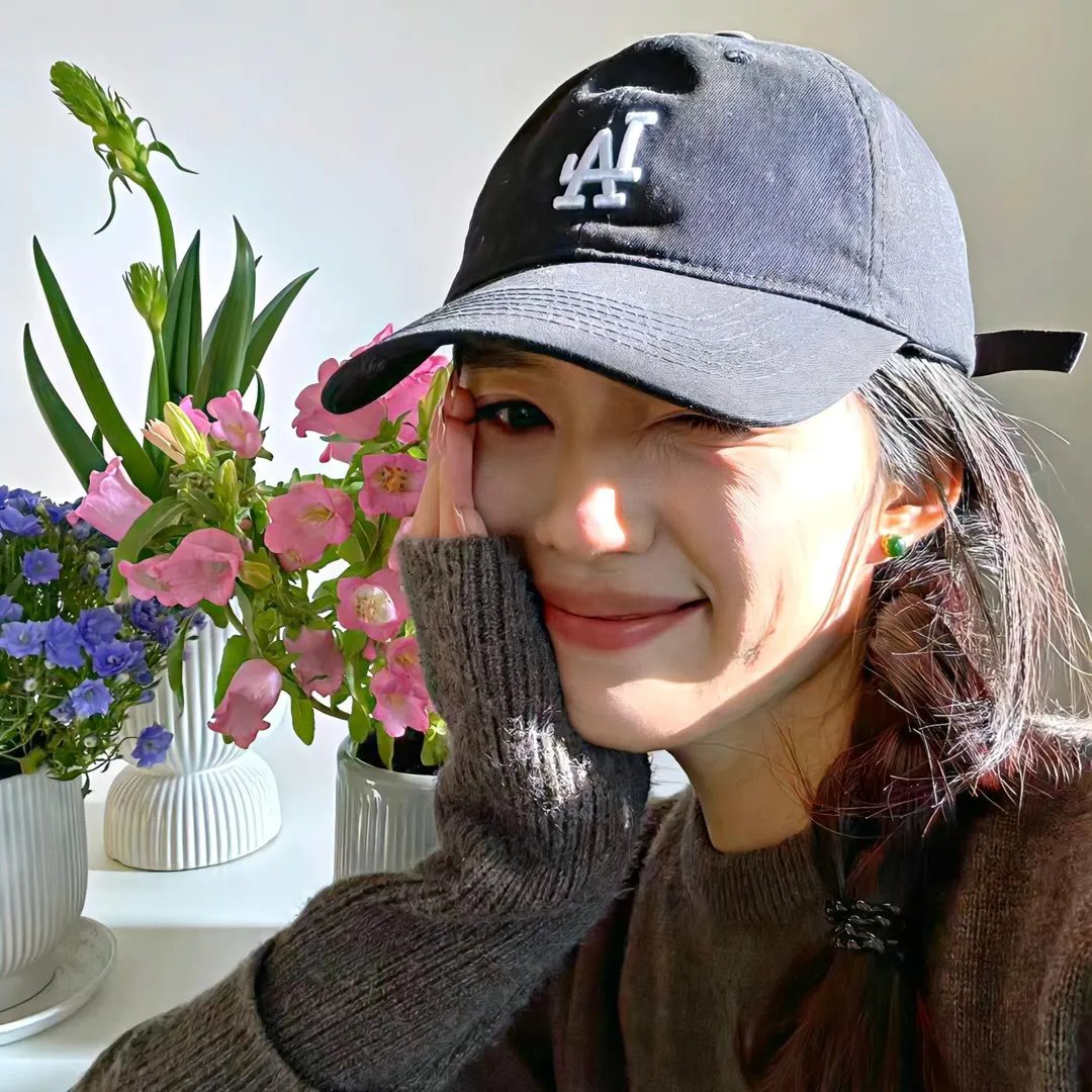 彩凤朝阳 海报